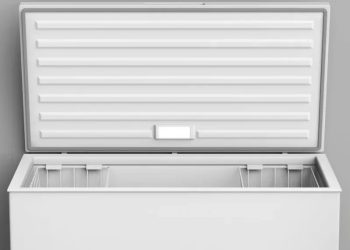 Four Children Die After Getting Trapped in Deep Freezer