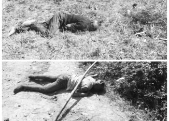 Two Killed in Mob After Robbing Moving Truck