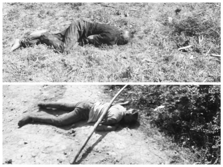 Two Killed in Mob After Robbing Moving Truck