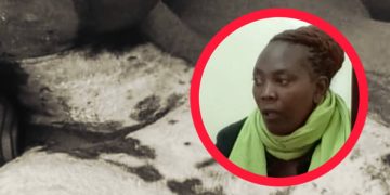 BSU Lecturer Remanded Over Grievous Harm on Maid