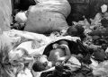 Stench smell over open dumping of human foetuses worries Rubaare town council authorities
