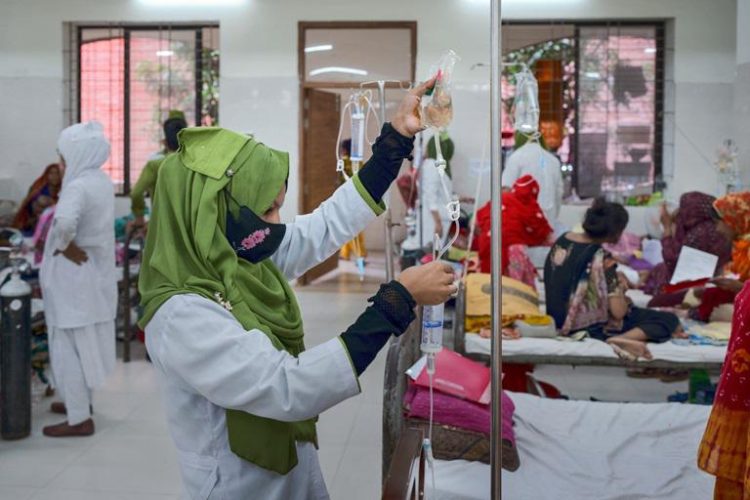 Global Pandemic Risks on the Rise: WHO Calls For Collective Action