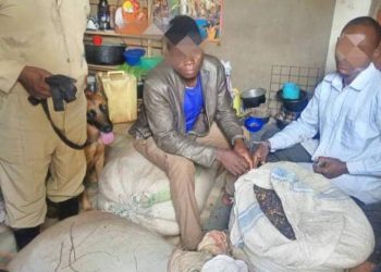 Two Arrested Over Theft of Coffee in Kyankwanzi