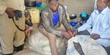 Two Arrested Over Theft of Coffee in Kyankwanzi