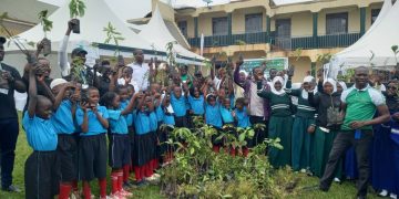 5000 Students Involved in Tree Planting Program