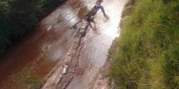 Drastic Water Levels in River Rwizi Calls for Urgent Action