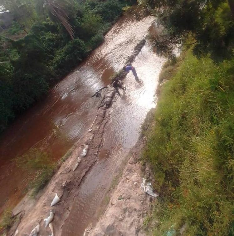 Drastic Water Levels in River Rwizi Calls for Urgent Action
