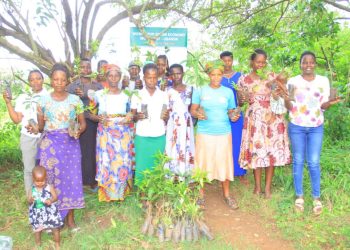 The Green Solution: Trees and Their Role in Sustaining Life