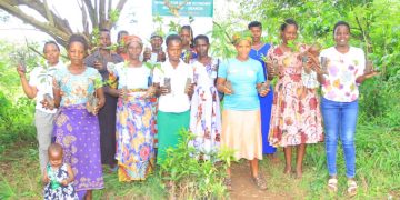 The Green Solution: Trees and Their Role in Sustaining Life