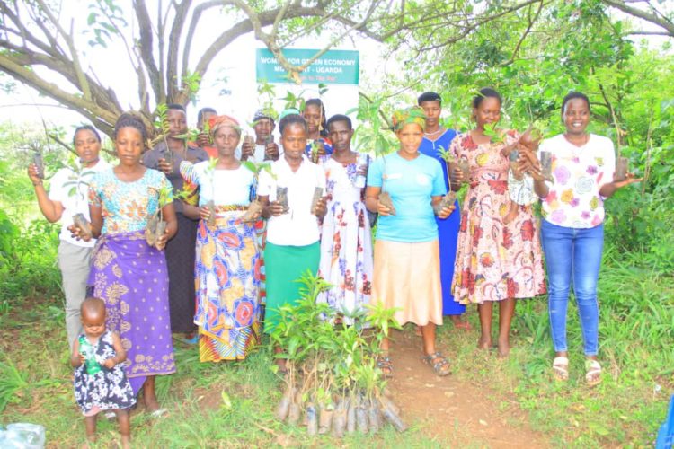 The Green Solution: Trees and Their Role in Sustaining Life