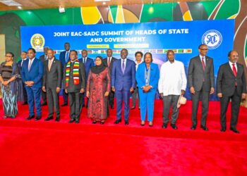 Leaders From EAC, SADC Meet to Address Security Crisis in the DRC