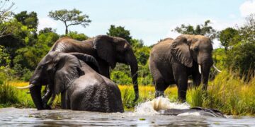 Why tourism sector Budget must be prioritized in the FY2025/2026?