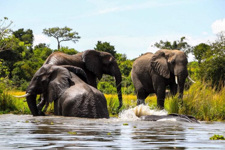 Why tourism sector Budget must be prioritized in the FY2025/2026?