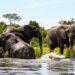 Why tourism sector Budget must be prioritized in the FY2025/2026?