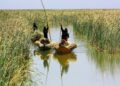 Guardians of the Wetlands: Protecting Wetlands for Our Common Future