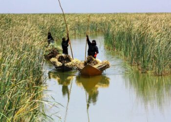 Guardians of the Wetlands: Protecting Wetlands for Our Common Future