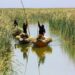 Guardians of the Wetlands: Protecting Wetlands for Our Common Future