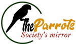 Admin-ParrotsMedia