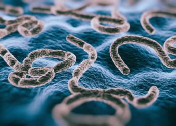 Understanding Ebola Virus Disease (EVD)