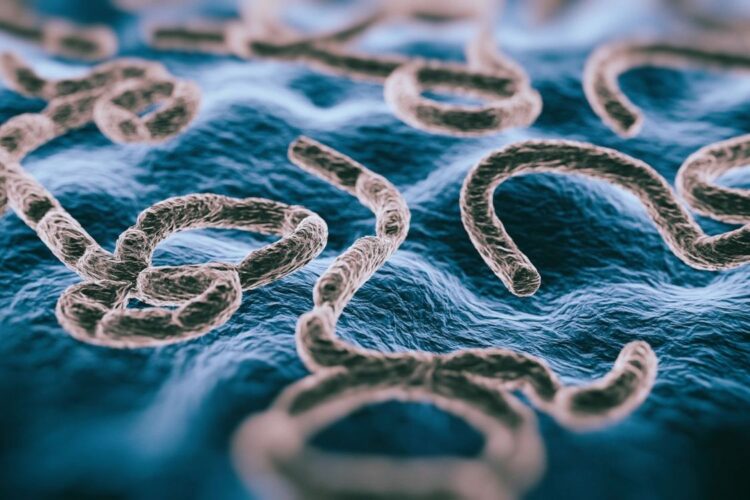 Understanding Ebola Virus Disease (EVD)