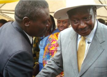 DP Dismisses Reports of Mao’s resignation