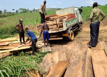 No Bugoma Forest, No Vote for NRM