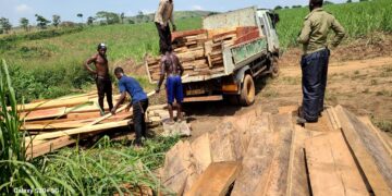 No Bugoma Forest, No Vote for NRM