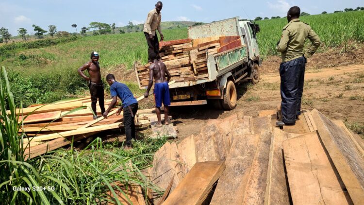 No Bugoma Forest, No Vote for NRM