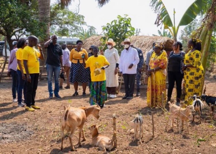 Museveni’s Bunyoro Tour Kicks off Tomorrow