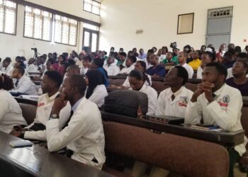 Reducing Maternal Challenges: Experts Call for Accountability