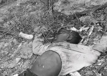 Kabale Man Hacks Son to Death After Domestic Row