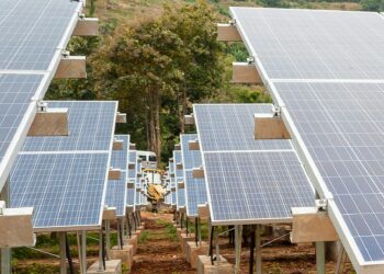 Energy Transition Plan Should Not Ignore Gender Issues