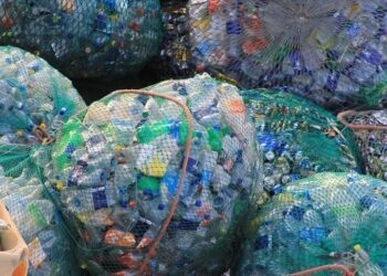 NEMA Pushes for Total Ban on Single-Use Carrier Bags