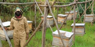 Climate Change Threatens Uganda’s Honey Production, Minister Rwamirama Warns