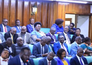 DP Joins Opposition to Reject UPDF Amendment Bill