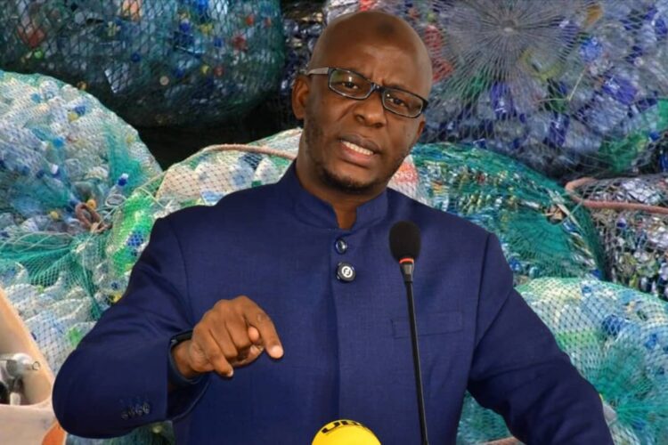 NEMA Pushes for Total Ban on Single-Use Carrier Bags