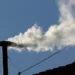 White Smoke Rises as Crowds Erupt in Celebration At St Peter’s Basilica as New Pontiff is Elected