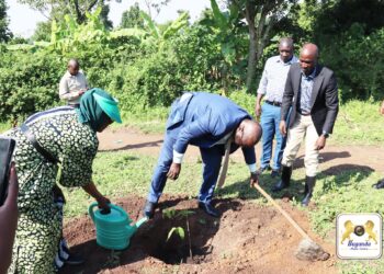 Call for action and tree planting campaigns gain momentum