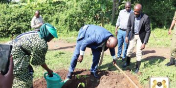 Call for action and tree planting campaigns gain momentum