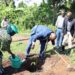 Call for action and tree planting campaigns gain momentum