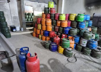 Environmental Experts Push for LPG Financing to Save Forests and Protect Public Health