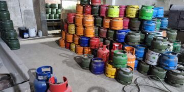 Environmental Experts Push for LPG Financing to Save Forests and Protect Public Health