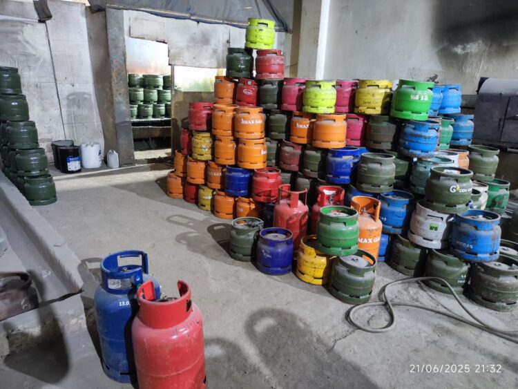 Environmental Experts Push for LPG Financing to Save Forests and Protect Public Health