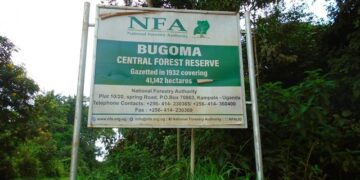EU forest partnership funds should also focus on restoring the degraded parts of Bugoma forest reserve