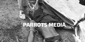 Man Fatally Stabbed by Brother Over Coffee