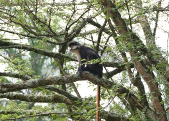 Tourism Ministry Pledges Stronger Private Sector Partnerships