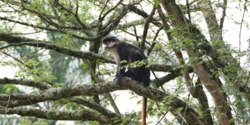 Tourism Ministry Pledges Stronger Private Sector Partnerships