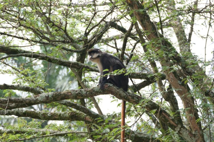 Tourism Ministry Pledges Stronger Private Sector Partnerships