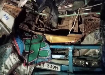 Fatal Accident on Gulu-Kampala Highway: Makome Bus Collides with Elephants, Driver Killed