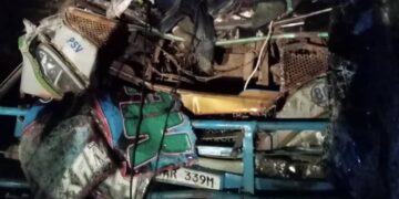 Fatal Accident on Gulu-Kampala Highway: Makome Bus Collides with Elephants, Driver Killed
